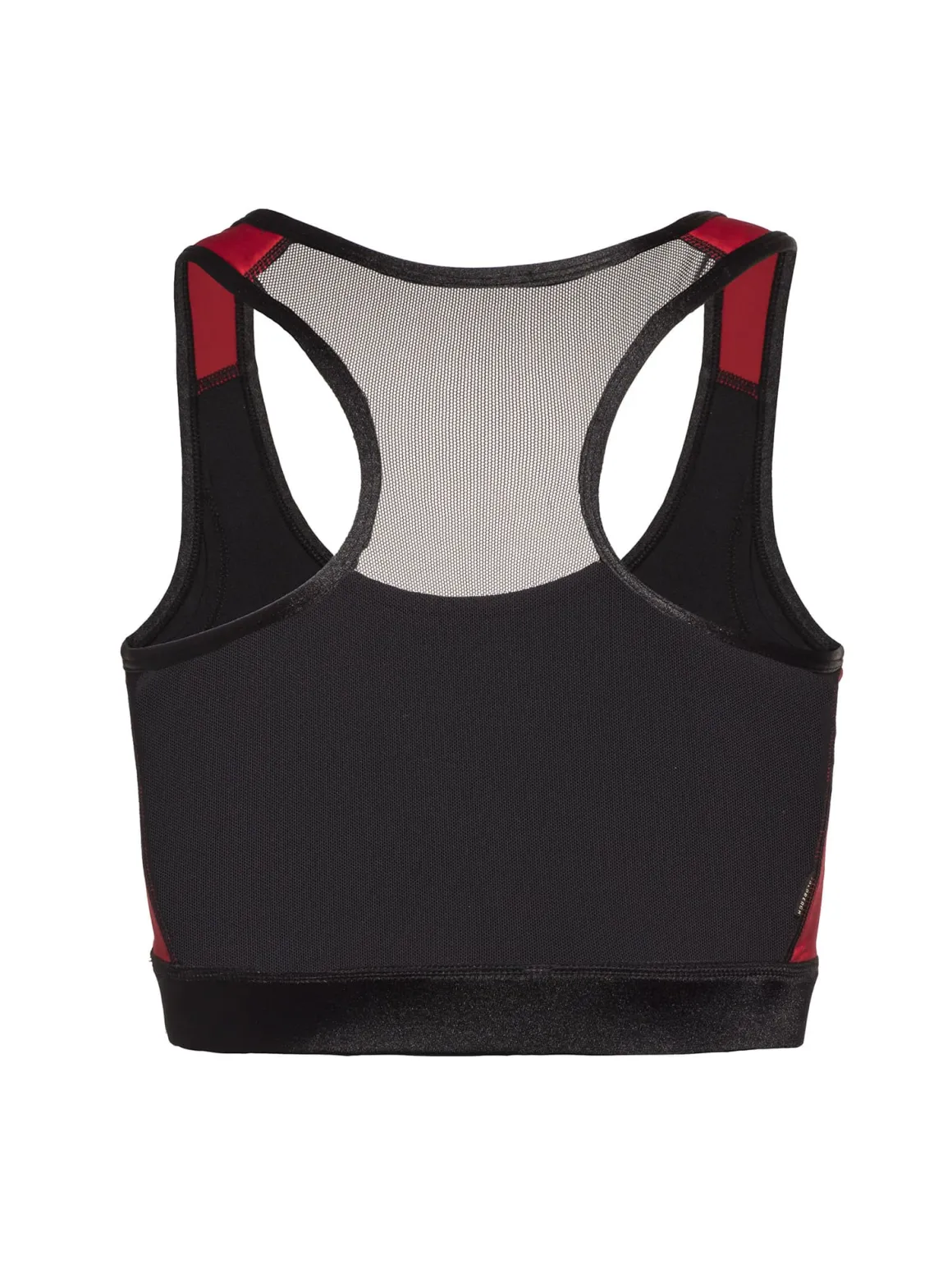Goldbergh Zomi Bra