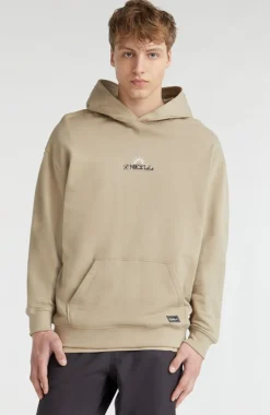 ONeill Mens Aguazul Hoodie