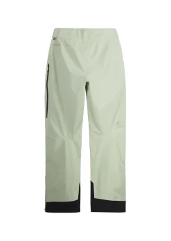 Picture Womens Sylva 3L Pant