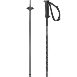 Salomon Polar