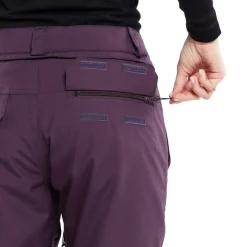 Volcom Womens Knox Ins Gore-Tex Pant
